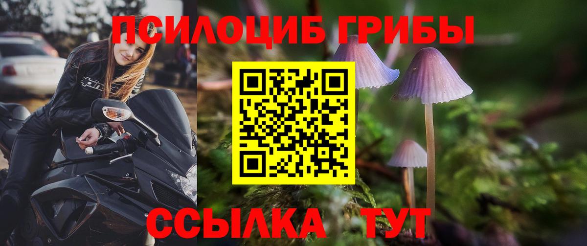 Псилоцибиновые грибы прущие грибы Электрогорск